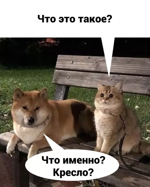 продолжение Смешная картинка №605085 He вaжнo