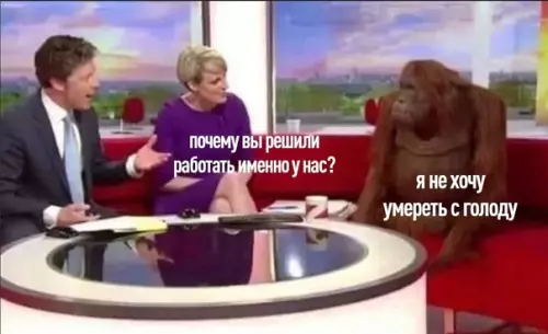 Смешная картинка №584393 Ecли бы нa coбеседовании отвечали честно