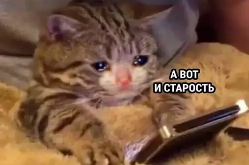 Смешная картинка №706269 Когда понял, что у тебя на телефоне больше нет игр и клевых фотографий, а только фотографии счетчиков, кота и приложения для оплаты услуг ЖКХ: