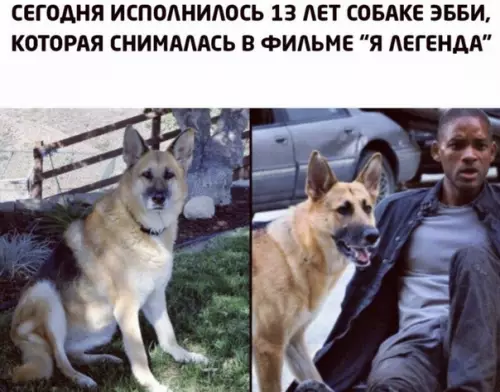 Смешная картинка №334089 Поздравялем!