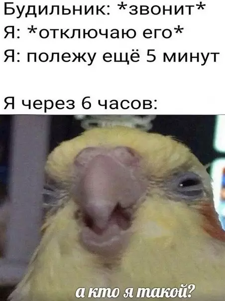 Смешная картинка №485826