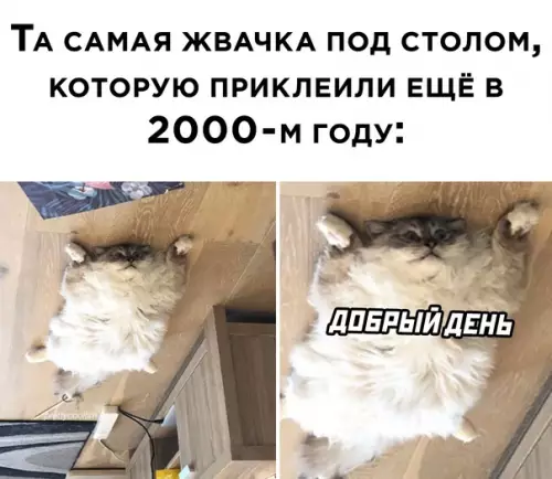 Смешная картинка №590173