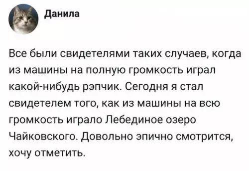 Лебединое озеро на районе 🦢🔥 - Все были свидетелями таких случаев, когда из машины на полную