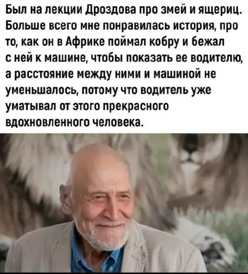 Смешная картинка №728321 животные