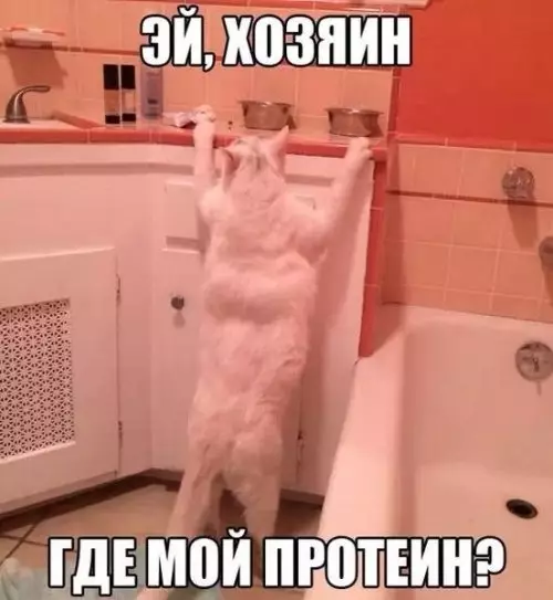 Смешная картинка №305104