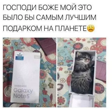 Смешная картинка №174396