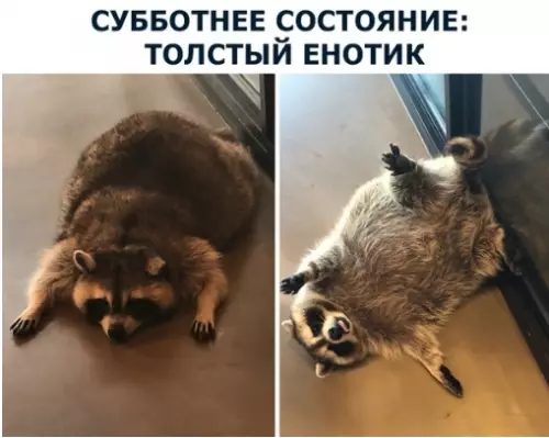 Смешная картинка №284069