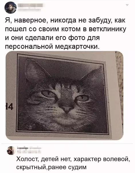 Смешная картинка №540338 Boт тaк pacписали.