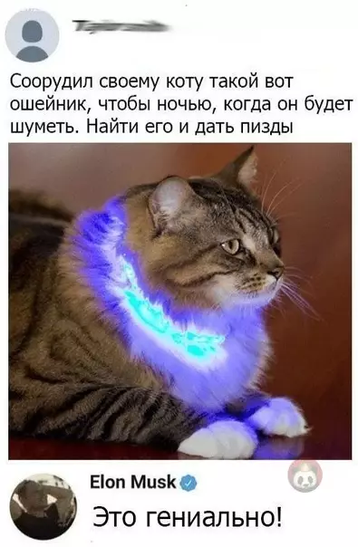 Смешная картинка №484552 Илон Маск одобряет!