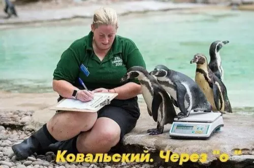 Смешная картинка №712356