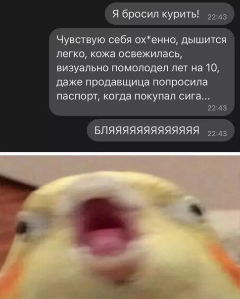 Смешная картинка №548650