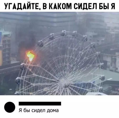 Смешная картинка №312331