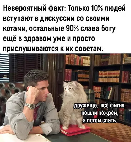 Смешная картинка №684753 Коты