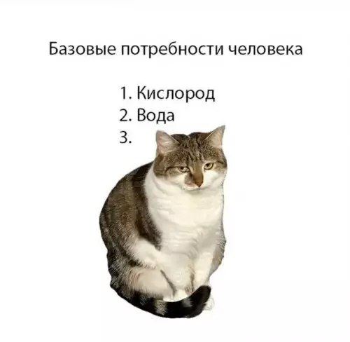 Смешная картинка №760303