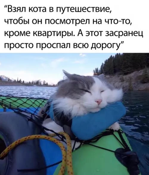 Смешная картинка №500453