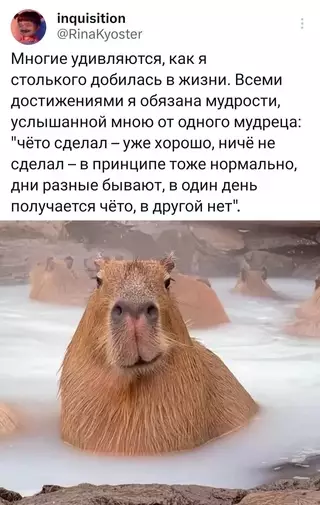 Смешная картинка №682028
