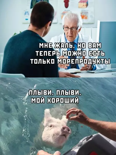 Смешная картинка №390614