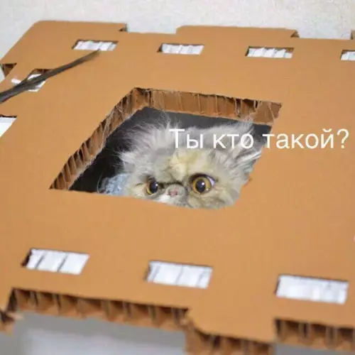 Смешная картинка №289868 Когда кто-то пытается вторгнуться в моё личное пространство