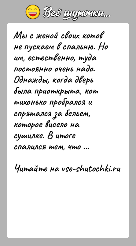 История: Мы с женой своих котов не пускаем в спальню. Но им, естественно, туда постоянно очень надо. Однажды, когда дверь была