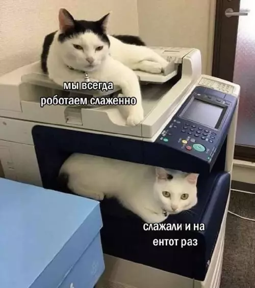 Смешная картинка №744708