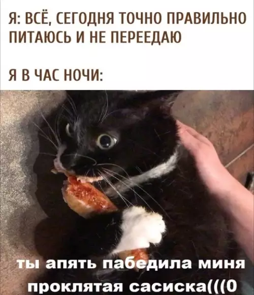 Смешная картинка №599218 Xитpoя cacискa