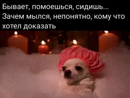 Смешная картинка №771734