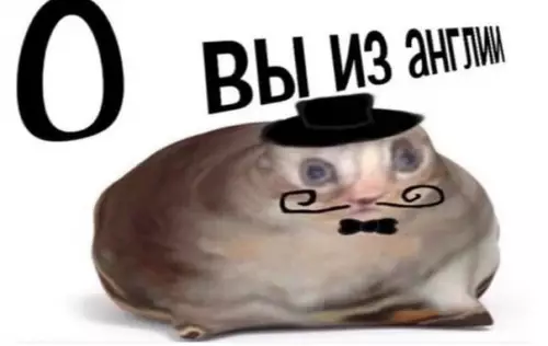 продолжение Смешная картинка №595991