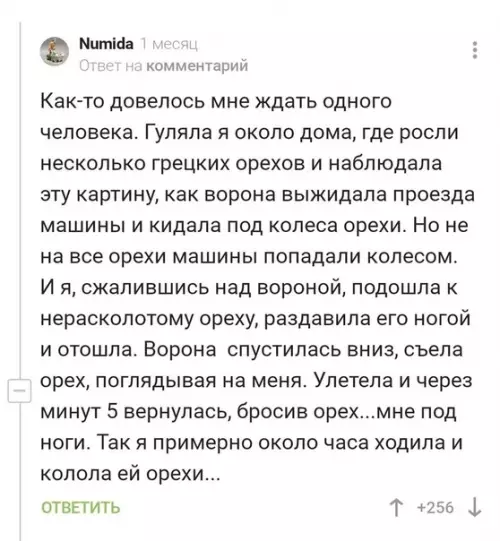 Смешная картинка №510786 Да, это жестко