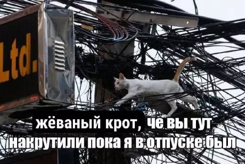 Смешная картинка №733655