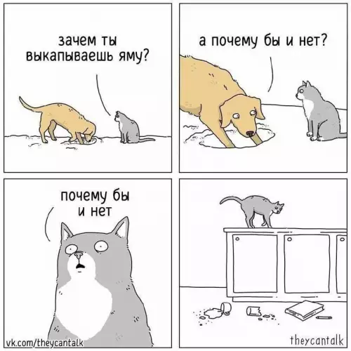 Смешная картинка №683358 Коты 