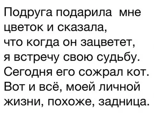 Смешная картинка №265668