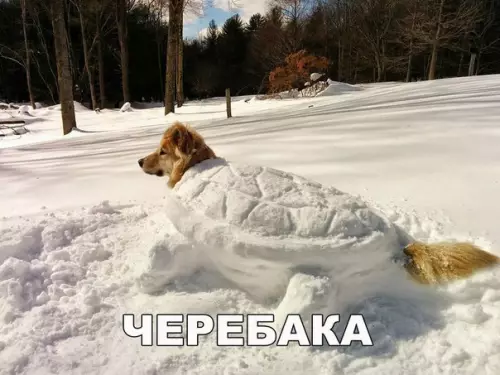 Смешная картинка №247856