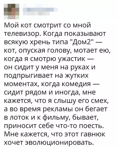 Смешная картинка №241225