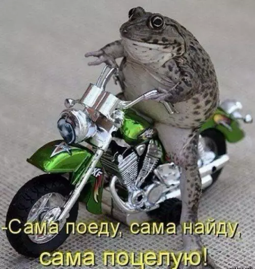 Смешная картинка №442137