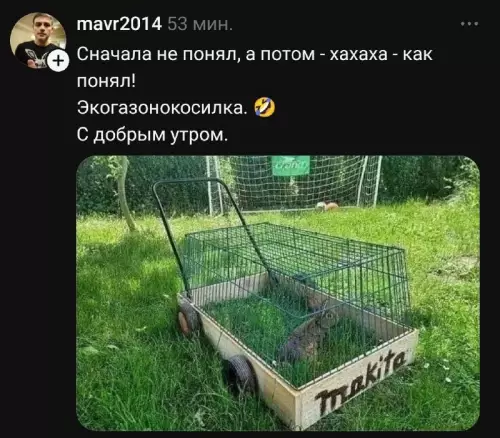 Экогазонокосилка: новый уровень садоводства! 🌱😂 - Сначала не понял, а потом - хахаха - как понял!