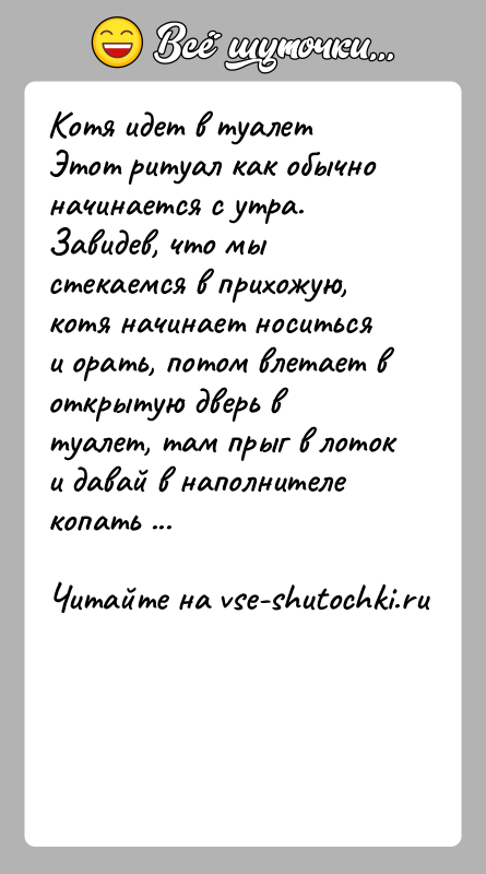 История: Котя идет в туалетЭтот ритуал как обычно начинается с утра. Завидев, что мы стекаемся в прихожую, котя начинает носиться и