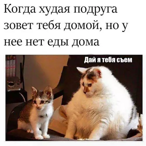 Смешная картинка №252278