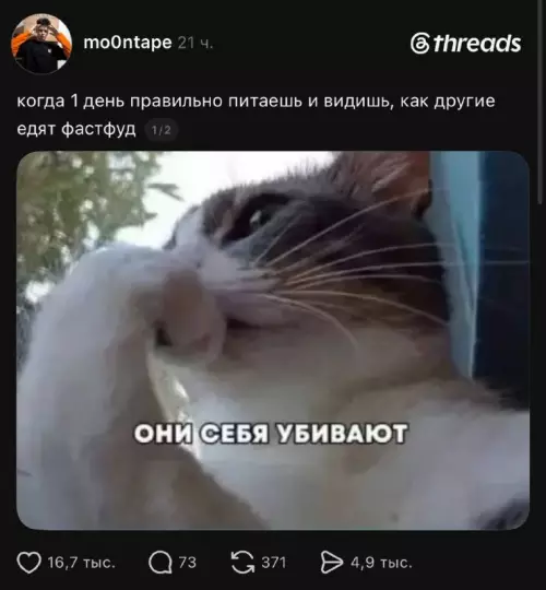 Вы на диете? 🥗 Посмотри на этот взгляд! - когда 1 день правильно питаешь и видишь, как другие едят