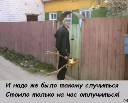 Смешная картинка №253065