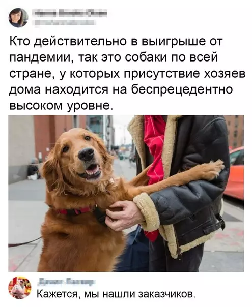 Смешная картинка №476516 Так вот оно как оказывается.