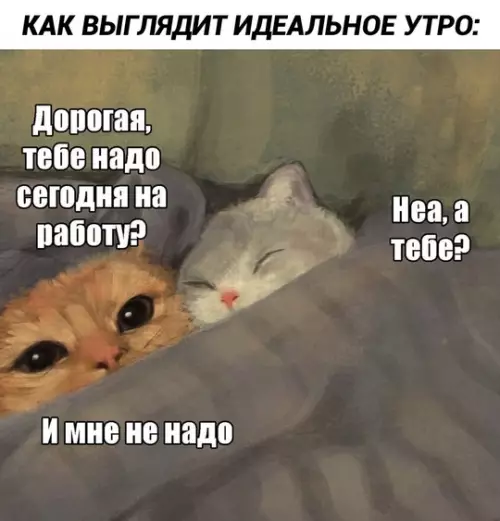 Смешная картинка №759201