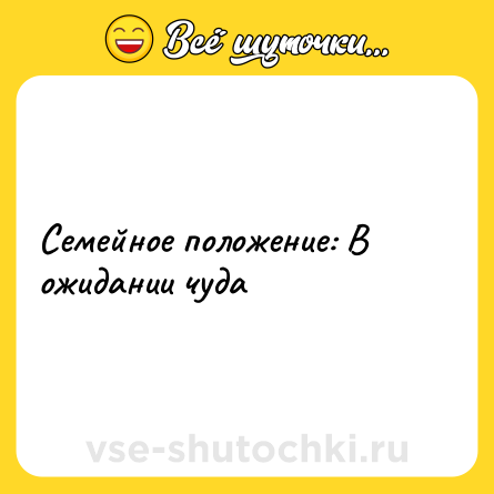 Шутка: Семейное положение: В ожидании чуда