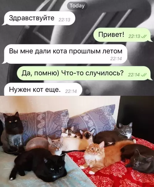 Смешная картинка №565218 Опасная зависимость.