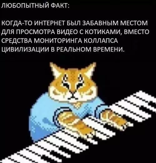 Где мои котики?! 🙀 - ЛЮБОПЫТНЫЙ ФАКТ: КОГДА-ТО ИНТЕРНЕТ БЫЛ ЗАБАВНЫМ МЕСТОМ ДЛЯ ПРОСМОТРА ВИДЕО