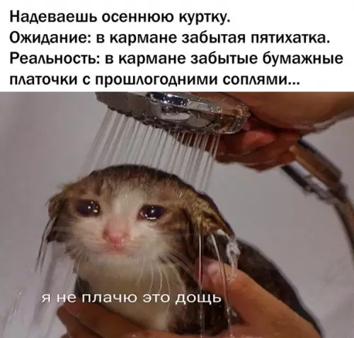 Смешная картинка №386431