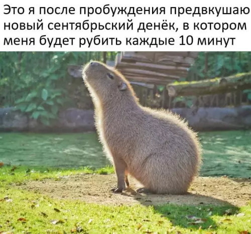 Смешная картинка №604175