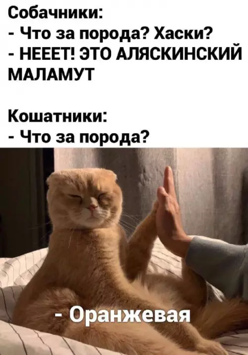 Смешная картинка №711444