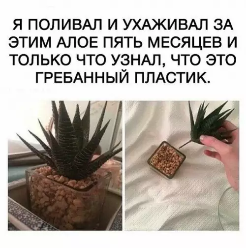 Смешная картинка №257580