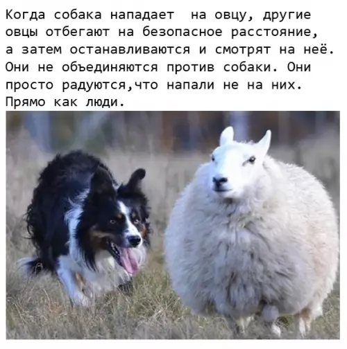 Смешная картинка №470600 Верно подмечено....