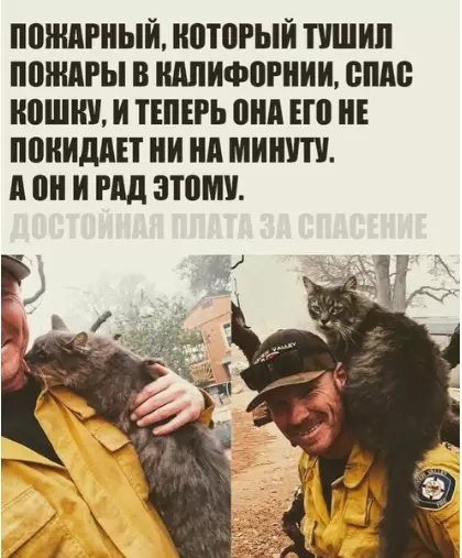 Смешная картинка №315588 Новыe дpyзья.